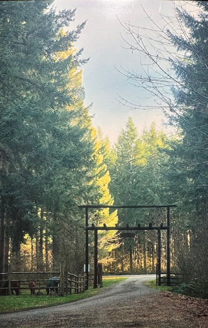 Finding Healing at The Family Ranch: Where Hope Has Hooves