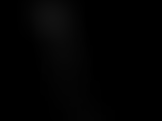 Pannir's Letters To The Family