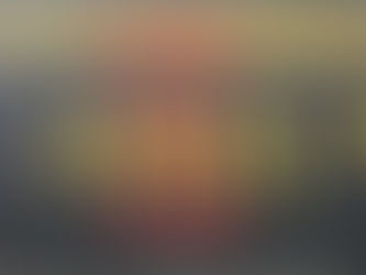 Ugh…FOID Card delays…AGAIN.