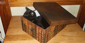 Rayne Hall – Sulu loved reading my books
