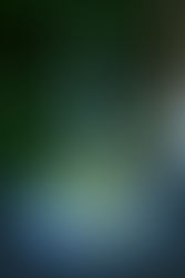 The Mysterious Story of the Beacon by the Sea