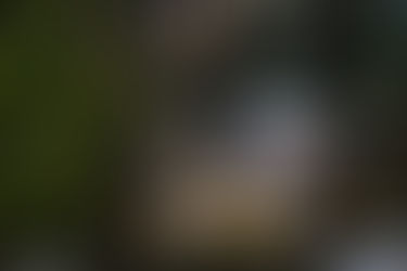 The Secret of Little Greenhouse!