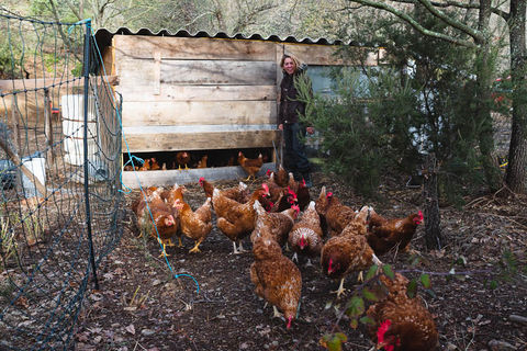 macérat poule terrasse valhalla-9.jpg