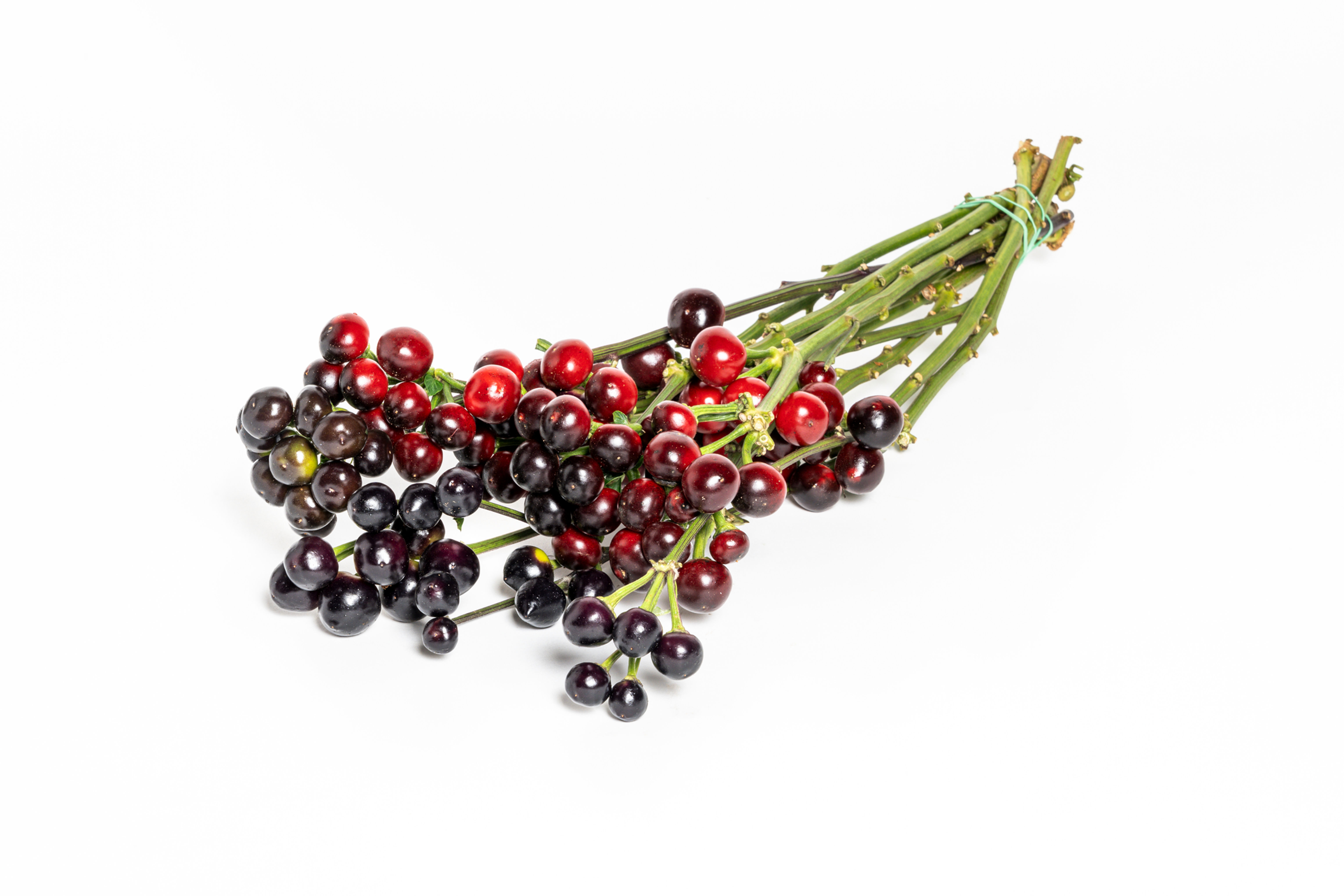 Peperette ciliegie nere