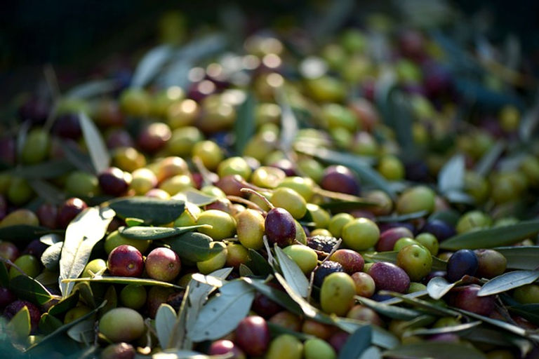 olive-taggiasche-253264_640.jpeg