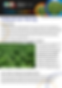 Biocomp picture_edited.jpg