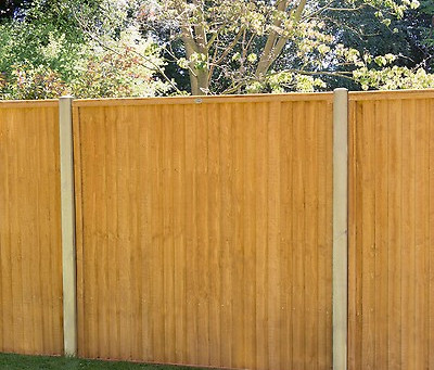 Fencing All Year Round!
