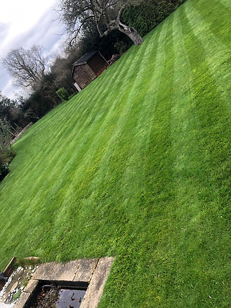 lawnpic.jpeg