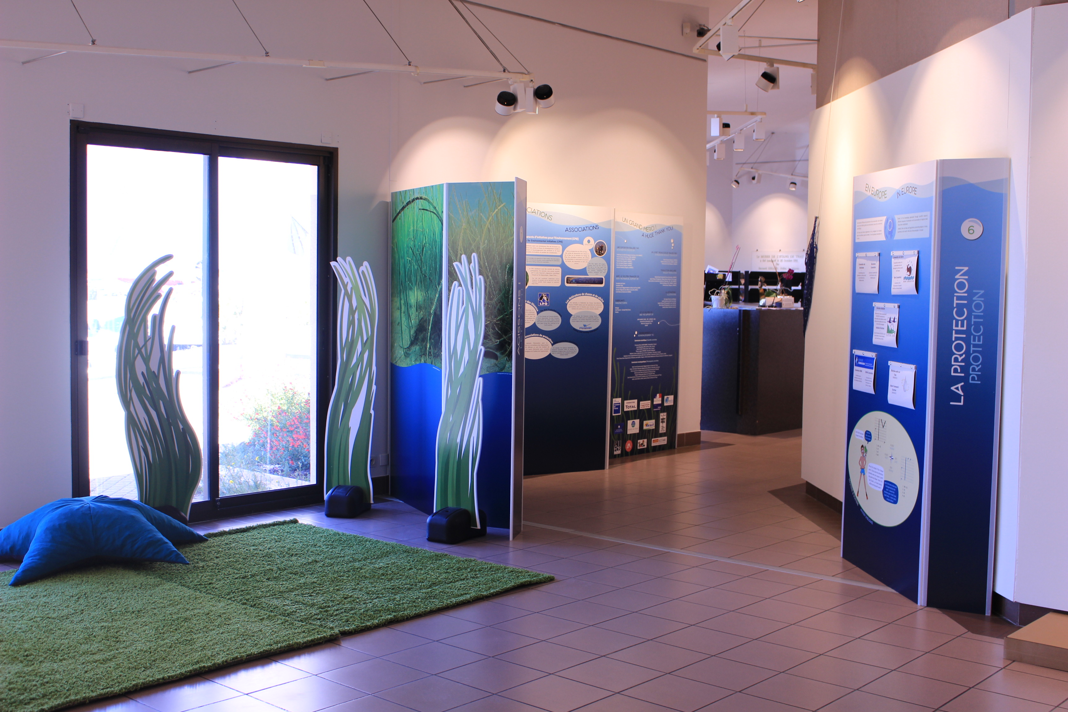 Exposition Zostère - Musée de Thau