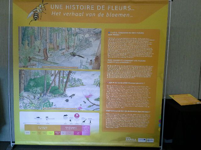 Exposition SAPOLL