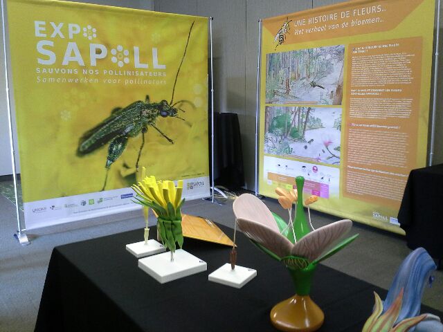 Exposition SAPOLL