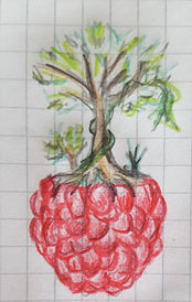 Idée Initiale Céline Faure.jpg