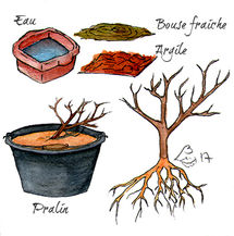 PNRCQ-HaiesChampêtre_29-Sch Plantation-Pralin_ElsaBugot2017.jpg