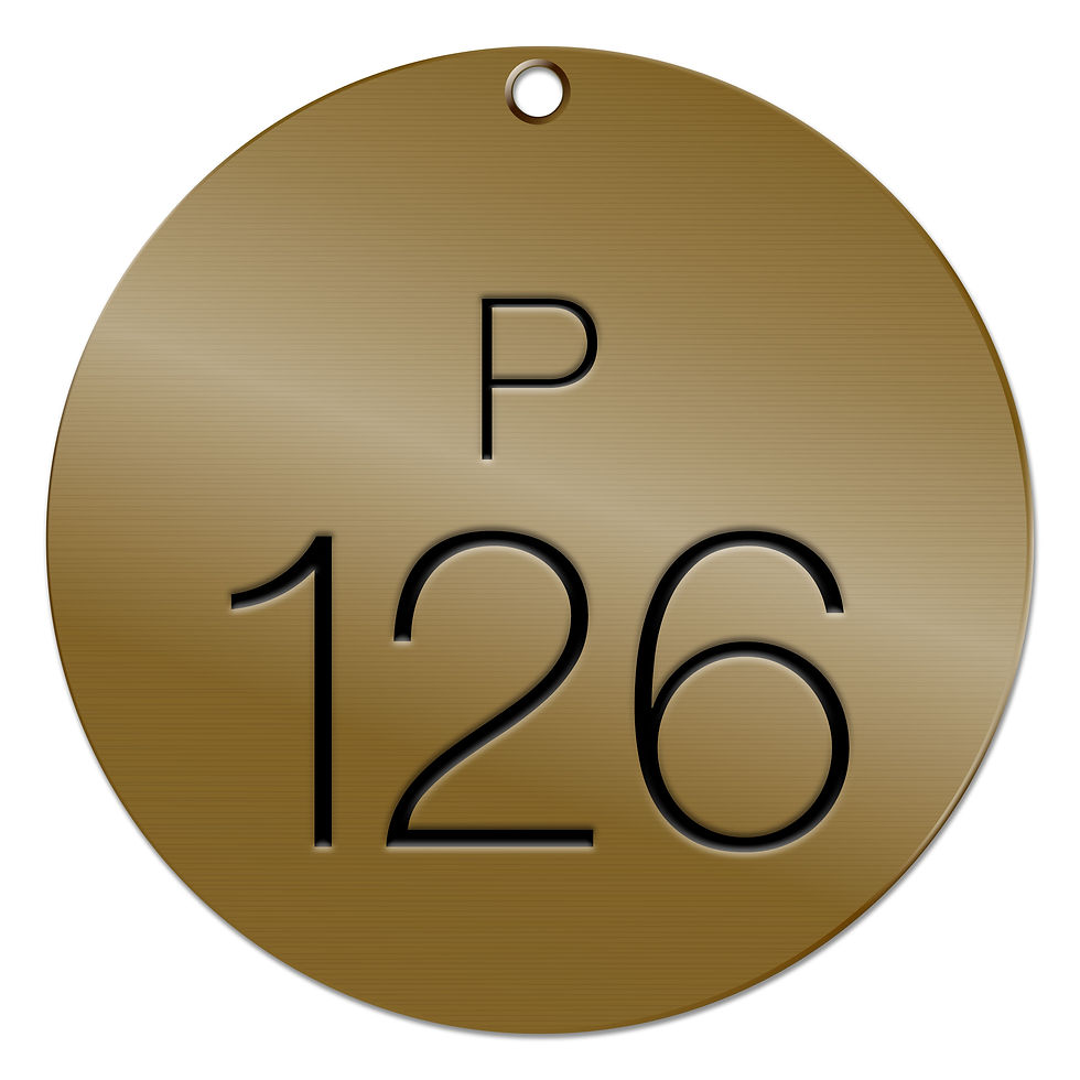Thumbnail: ROUND BRASS VALVE TAGS – P CODE