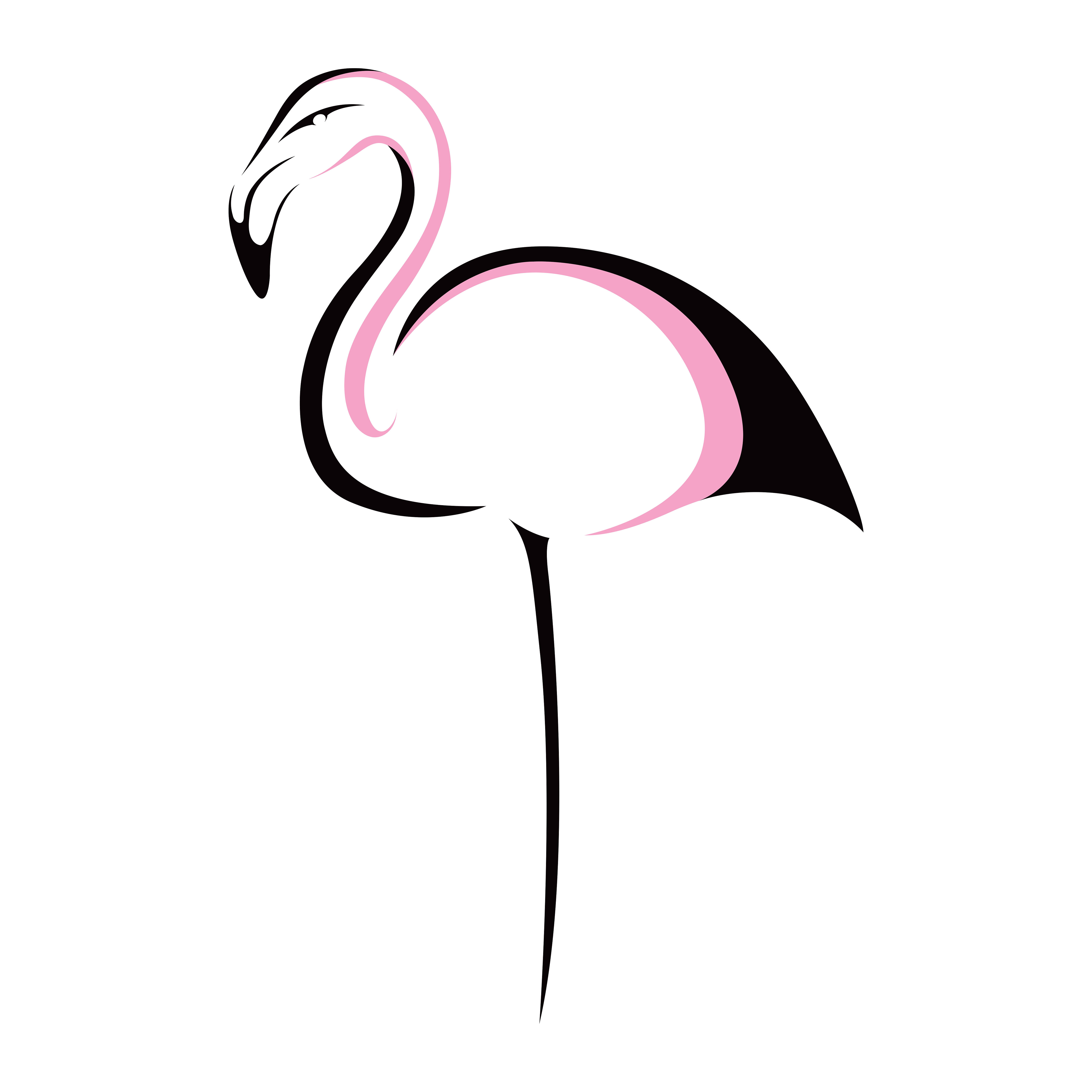 Digital Bird Series – Flamingo