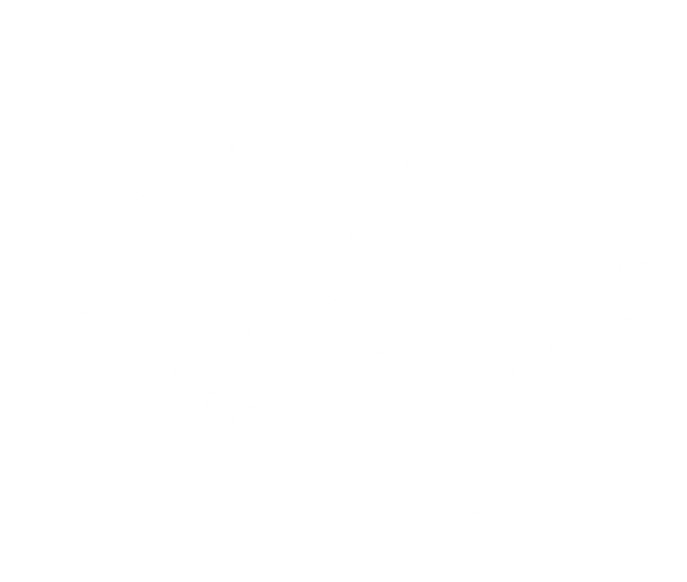 PrimitiveReflex_TonicLabyrinthineReflex2.png