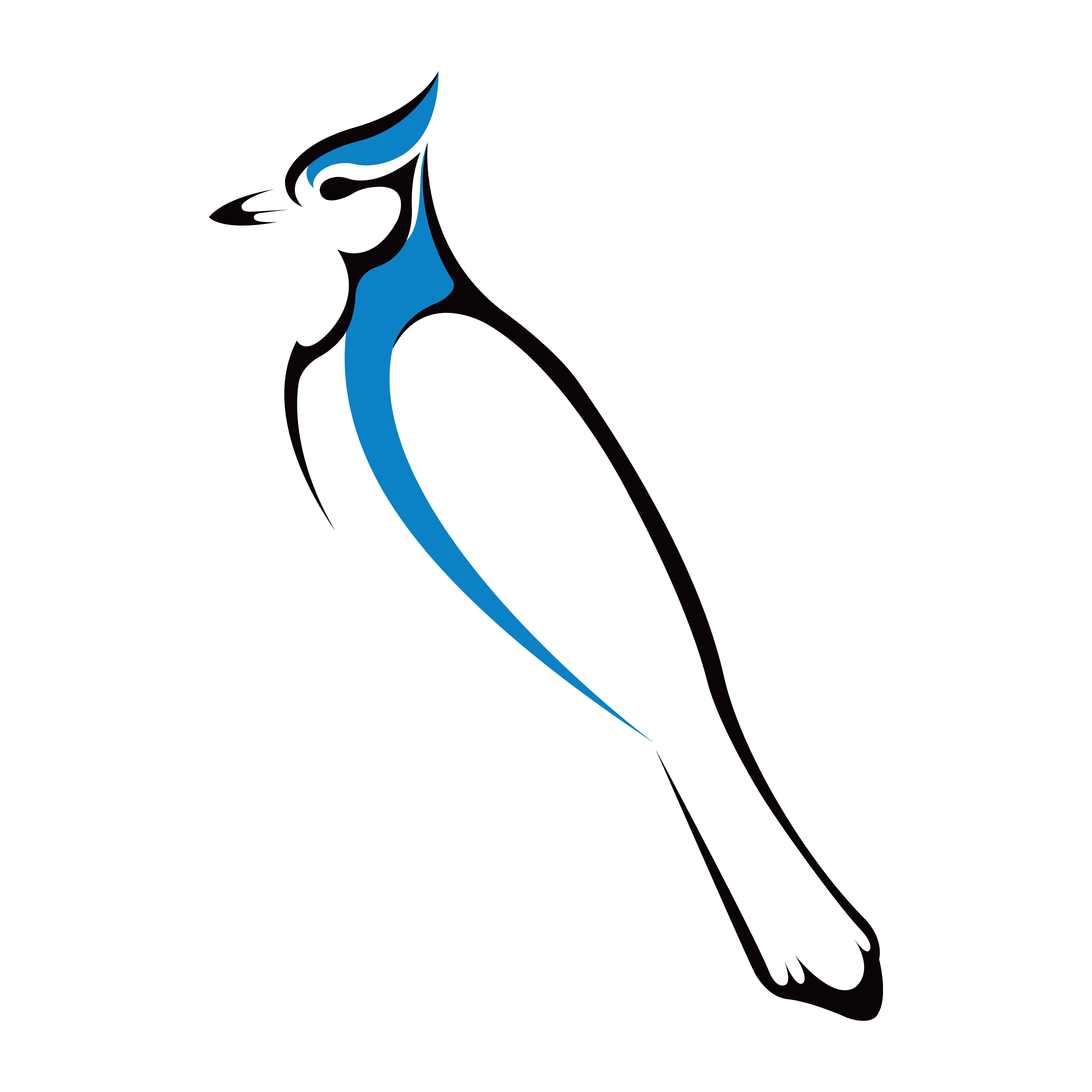 Digital Bird Series – Blue Jay