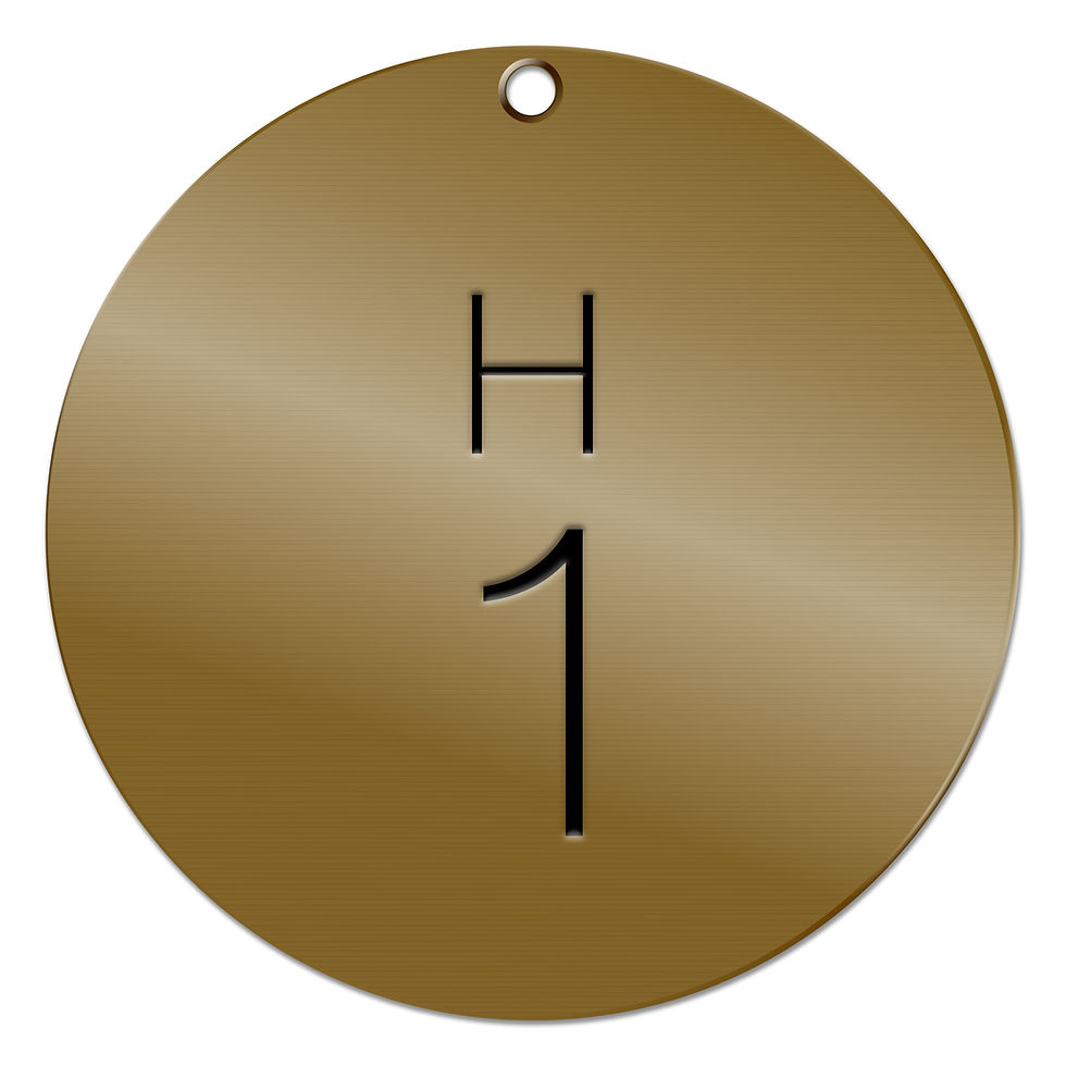 Thumbnail: ROUND BRASS VALVE TAGS – H CODE