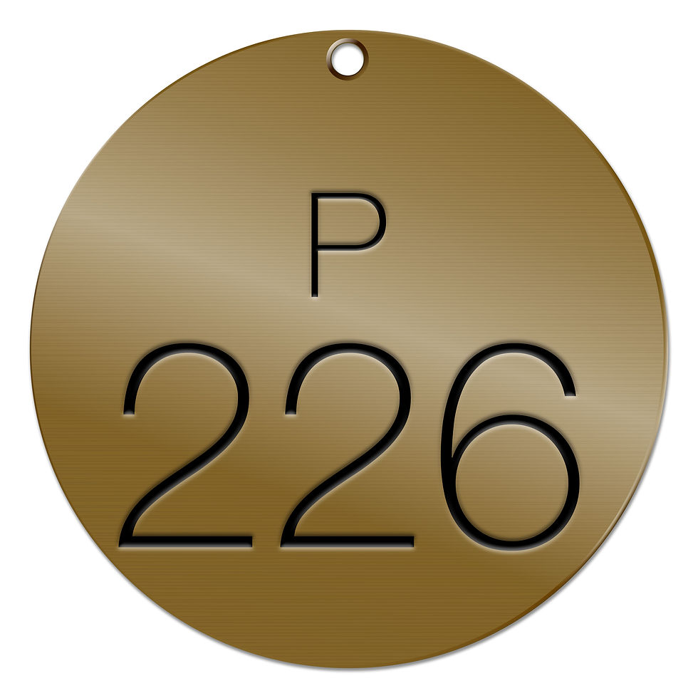 Thumbnail: ROUND BRASS VALVE TAGS – P CODE