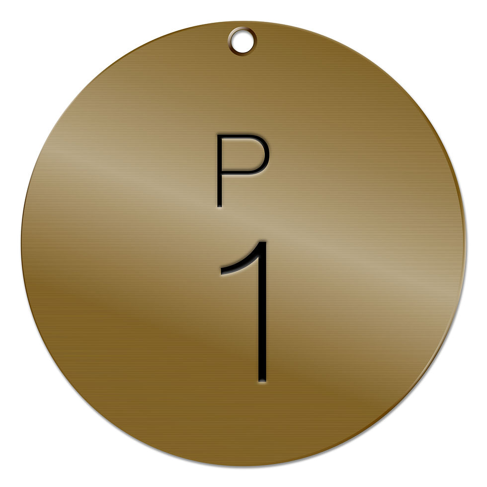 Thumbnail: ROUND BRASS VALVE TAGS – P CODE