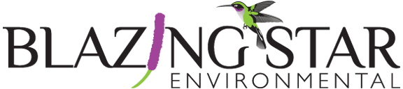 BlazingStar_Logo_Web_RGB_Large_ClearBkgnd.png