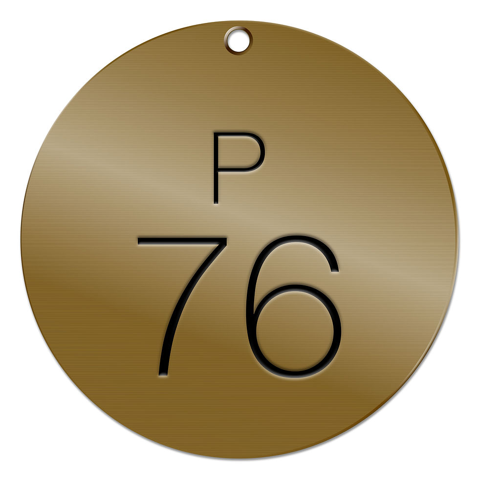 Thumbnail: ROUND BRASS VALVE TAGS – P CODE