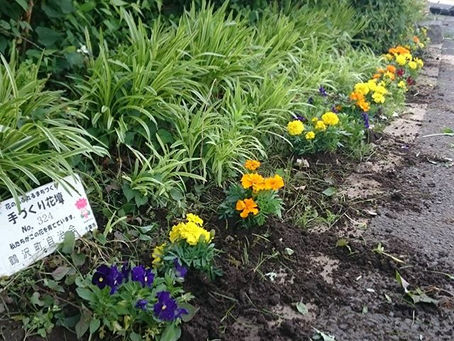 せせらぎ公園のお花の植え替え