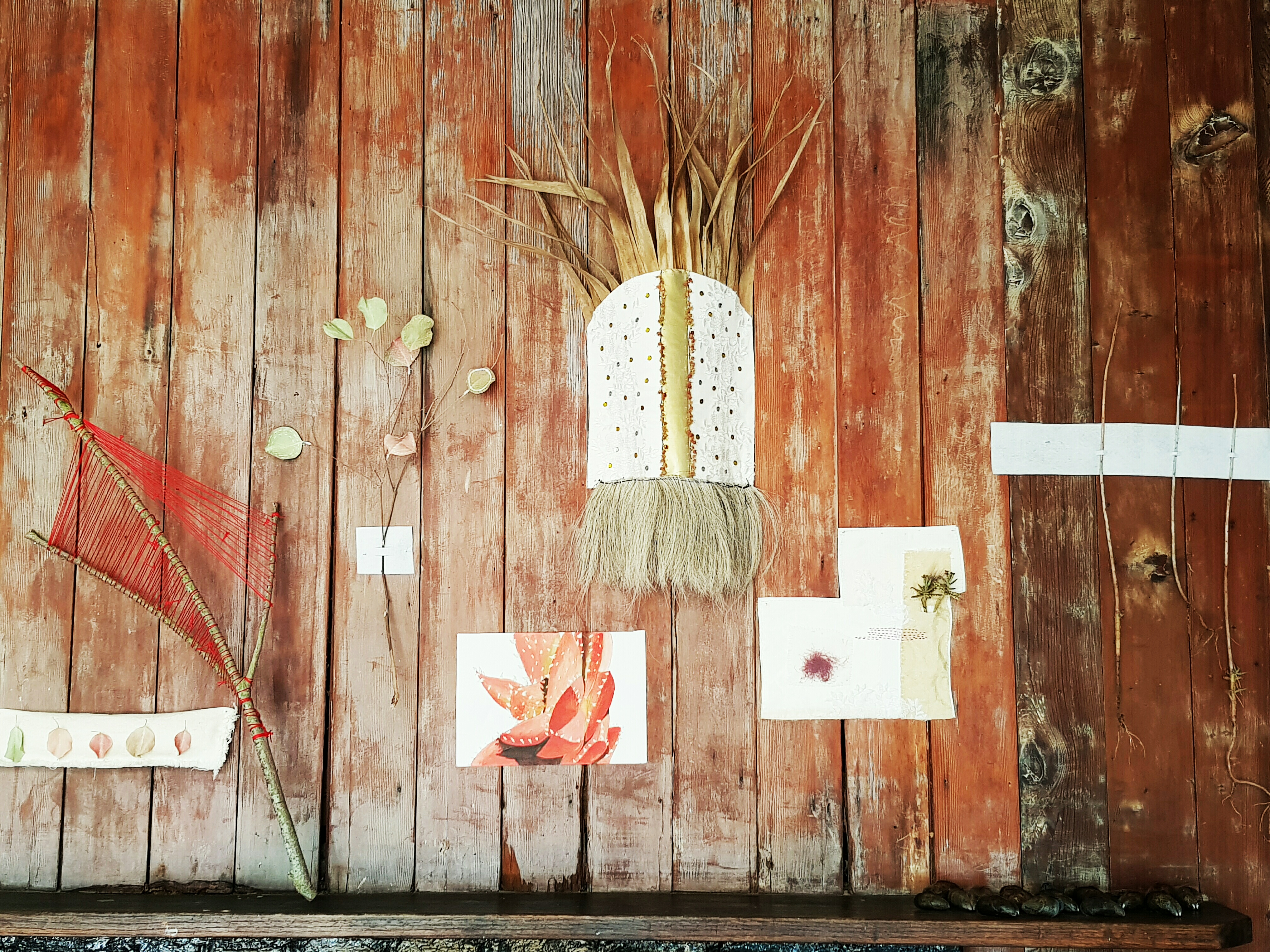 Final display Pockets of Life