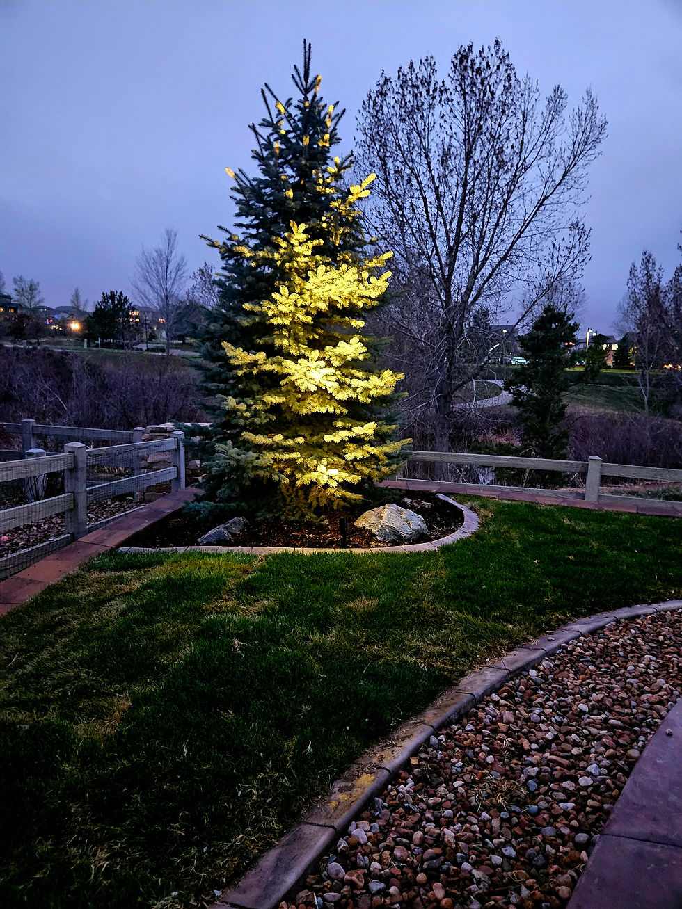 denver landscape design, backyard landscaping, landscape company denver, landscape design denver, landscape design colorado, landscape desingers, backyard landscaping,landscape remodel, landscape renovation, pond builder colorado, front yard landscaping, landscaping company