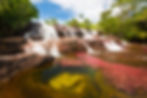 Caño Cristales, río de los cinco colores en Colombia – TRIP OFFERS DMC