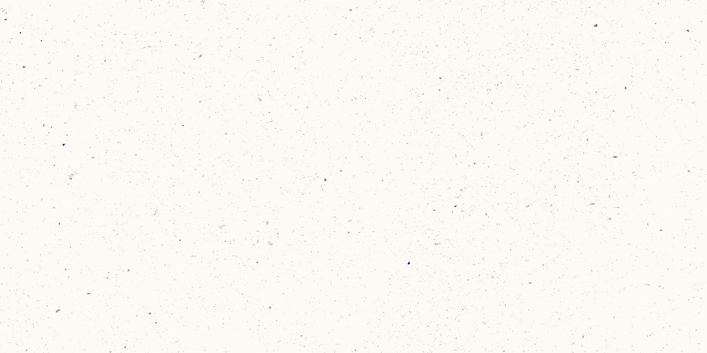 iStock-2214806155.jpg