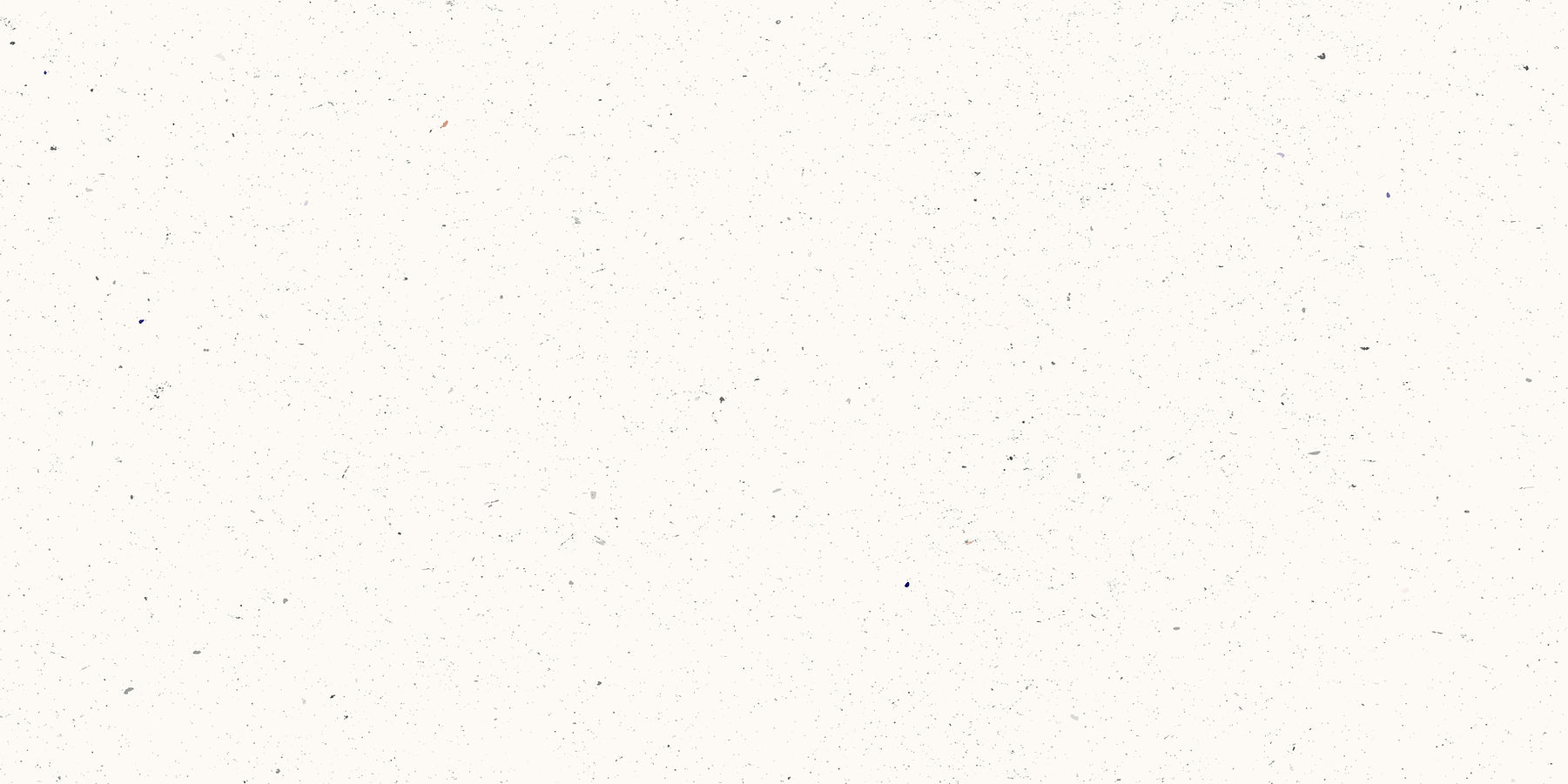 iStock-2214806155.jpg