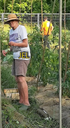 Jel_Vennink