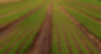 khweb_background_01_2200x1400.jpg