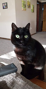 Kora