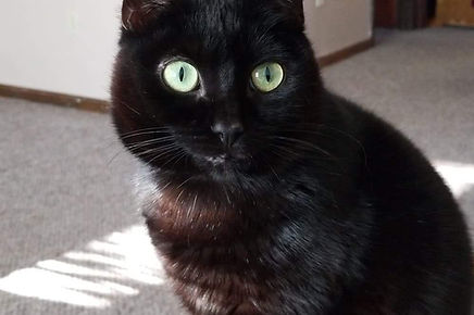 Kora