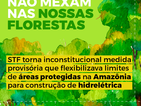 STF: inconstitucional a redução de áreas preservadas por Medida Provisória
