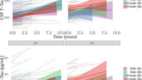 Associations between baseline amyloid, sex, and APOE on subsequent tau accumulation in CSF