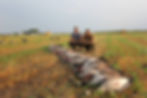 Alex & Mitchell, Flatland Flyways
