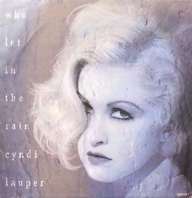 Who Let in the Rain 45 cover.jpeg