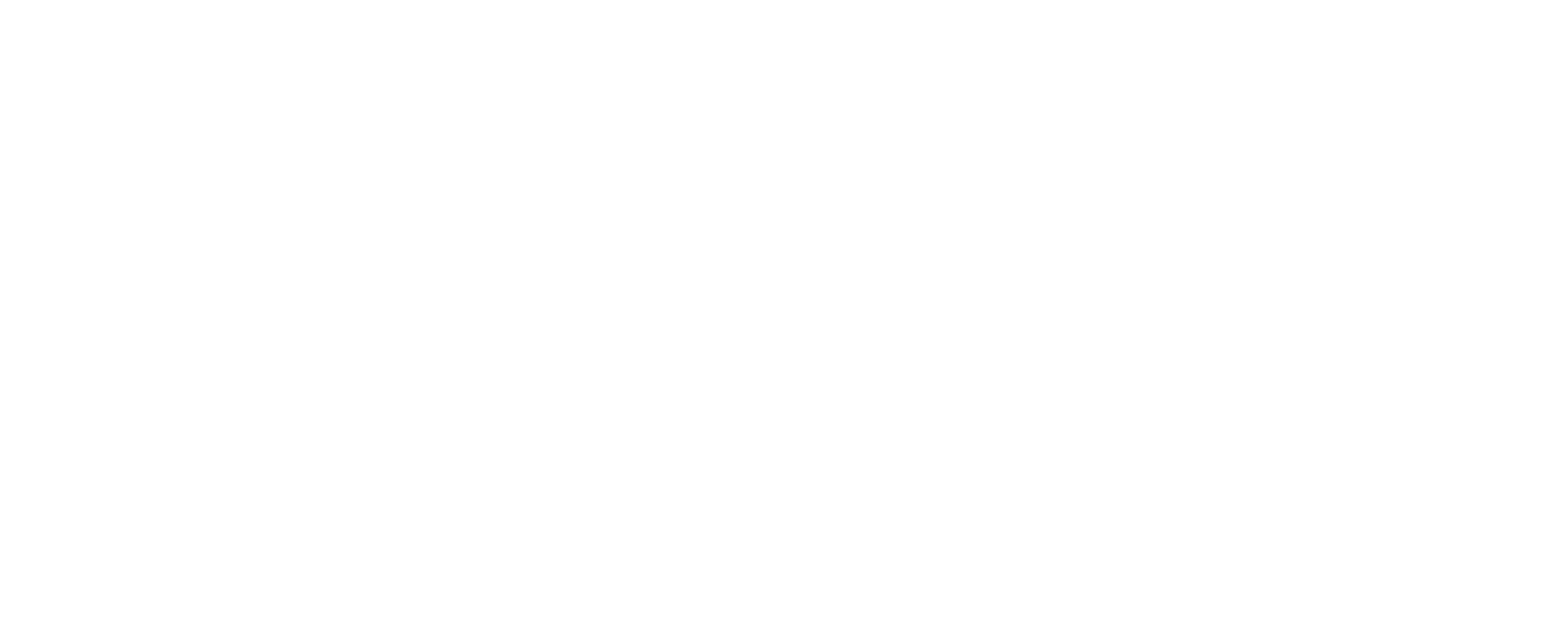 FranchiFly Logo