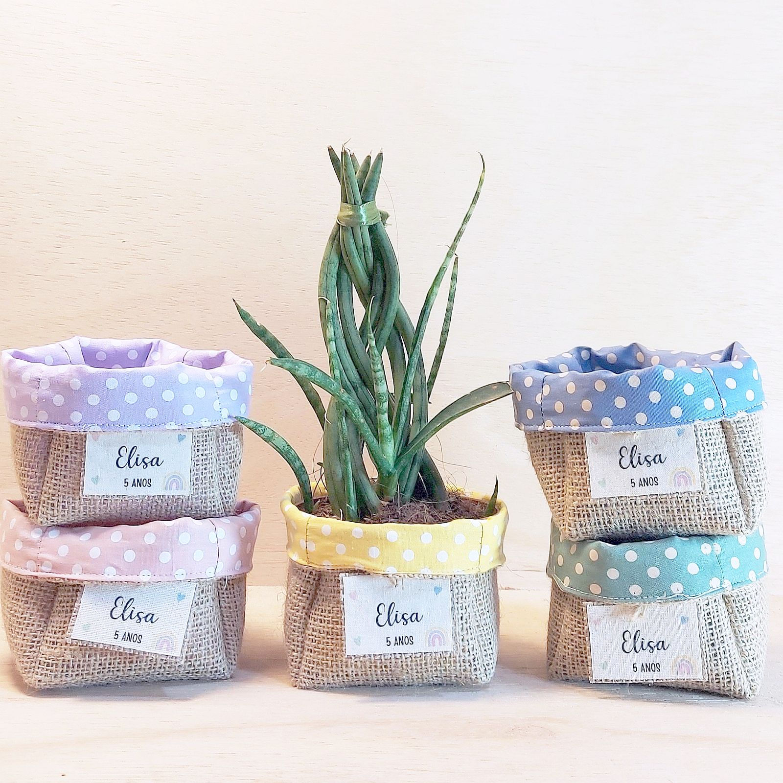 Cachepô Arco-Íris Candy Boho - Lembrancinha Personalizada