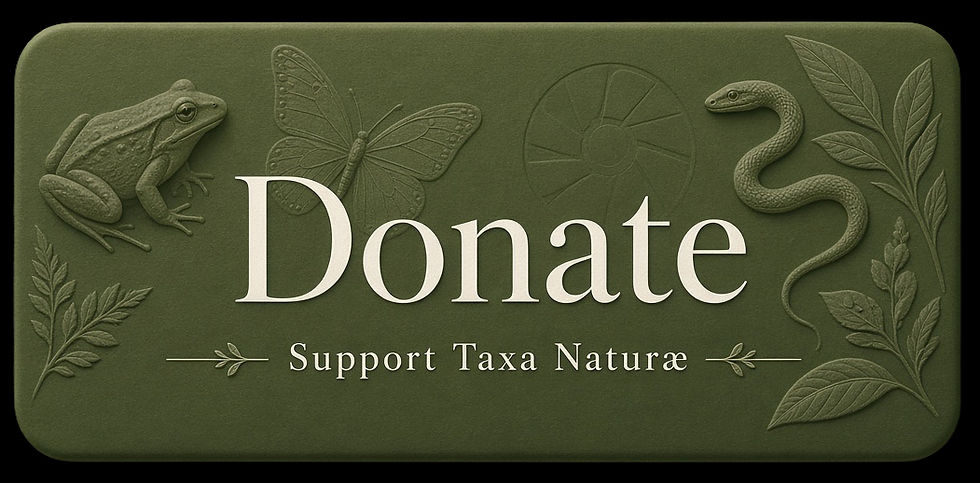 donate.jpg