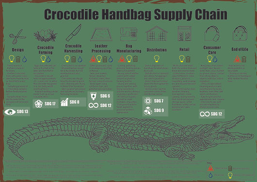 Group_1_Celina_Step.K_Lily_Supply_Chain_