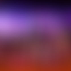 RÉSEAUX SOCIAUX 2024