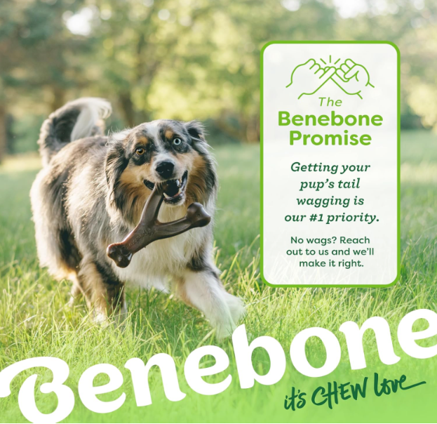 Benebone Wishbone Durable Dog Chew Toy
