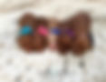 Newborn Goldendoodle puppies participating in an early puppy development program featuring ENS, ESI, and structured socialization from birth