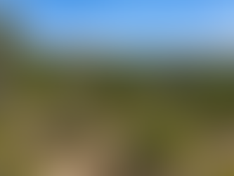 Raw undeveloped Texas Hill Country acreage with dense cedar, rocky limestone terrain, and uneven grade before land clearing and site prep work.