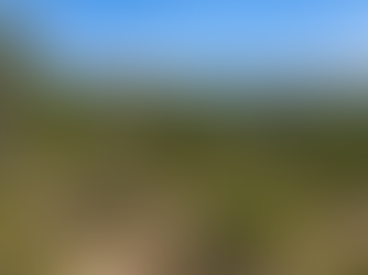 Raw undeveloped Texas Hill Country acreage with dense cedar, rocky limestone terrain, and uneven grade before land clearing and site prep work.
