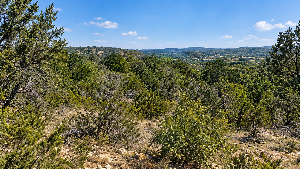 Raw undeveloped Texas Hill Country acreage with dense cedar, rocky limestone terrain, and uneven grade before land clearing and site prep work.